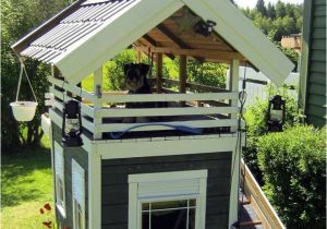 Two Story Dog House Plans Two Story Dog House Lucky Dog Creative Ideas
