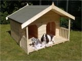 Two Story Dog House Plans Unique Two Story Dog House Dogs World