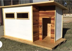 Ultimate Dog House Plans Ultimate Dog House Plans New Build A Modern Dog House