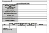 Veterinary Home Care Plan Template 9 Nursing Care Plan Templates Free Sample Example