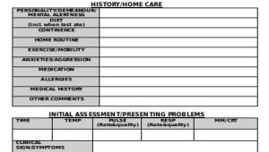Veterinary Home Care Plan Template 9 Nursing Care Plan Templates Free Sample Example