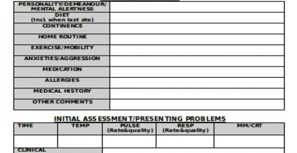 Veterinary Home Care Plan Template 9 Nursing Care Plan Templates Free Sample Example