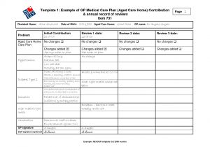 Veterinary Home Care Plan Template Old Fashioned Hospital Care Plan Template Sketch