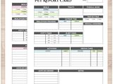Veterinary Home Care Plan Template Pet Report Card Daily Care Sheet 2 Page Bundle
