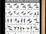 Weight Lifting Plan for Beginners at Home Dumbbell Workout Exercise Poster for Men 18 Quot X24 Quot Laminated