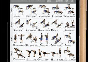 Weight Lifting Plan for Beginners at Home Dumbbell Workout Exercise Poster for Men 18 Quot X24 Quot Laminated