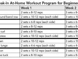 Weight Lifting Plan for Beginners at Home Strength Training for Fat Loss Break In Workout Programs