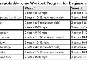 Weight Lifting Plan for Beginners at Home Strength Training for Fat Loss Break In Workout Programs