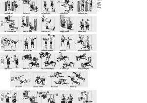 Weight Lifting Plan for Beginners at Home Weight Lifting Chart for Beginners Workout Chart Home