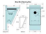 Western Bluebird House Plans 16 Ideas for Birdhouses Feeders and Nesting Box Plans