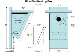 Western Bluebird House Plans 16 Ideas for Birdhouses Feeders and Nesting Box Plans