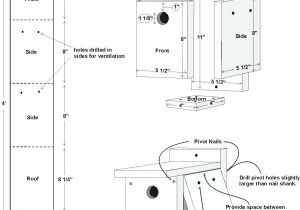 Western Bluebird House Plans Bluebird Bird House Plans Salmaun Me