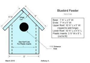 Western Bluebird House Plans Bluebird Bird House Plans Salmaun Me