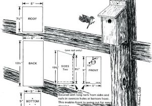 Western Bluebird House Plans Bluebird Bird House Plans Salmaun Me