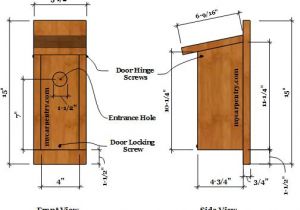Western Bluebird House Plans Bluebird Birdhouse Plans Complete Step by Step