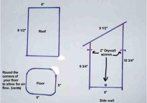 Western Bluebird House Plans Information About Western Bluebirds and How to Build A