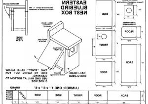 Western Bluebird House Plans Simple Bluebird House Plans Best Home Ideas