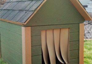 Winter Dog House Plans Cozy Insulated Dog House to Keep Your Best Friend Warm In