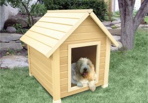 Winter Dog House Plans Surprising Winter Dog House Plans Gallery Best
