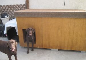 Winter Dog House Plans Surprising Winter Dog House Plans Gallery Best