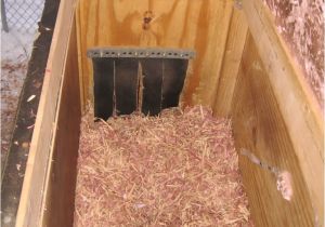 Winter Dog House Plans Winter Dog House Plans Escortsea