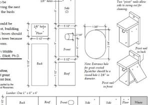 Wood Duck Bird House Plans Bird House Dimensions and Other Bird House Tips Wildlife Pro Wood Duck Bird House Plans Bird House Dimensions and Other Bird House Tips Wildlife Pro