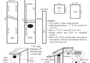 Wood Duck Bird House Plans Elegant Wood Duck Bird House Plans New Home Plans Design Wood Duck Bird House Plans Elegant Wood Duck Bird House Plans New Home Plans Design
