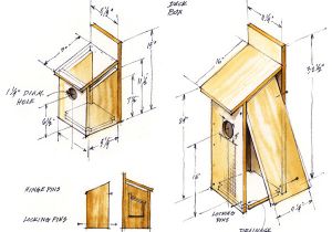 Wood Duck Bird House Plans Wood Duck Houses Plans Pdf Woodworking Wood Duck Bird House Plans Wood Duck Houses Plans Pdf Woodworking