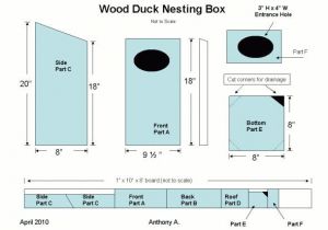 Wood Duck Bird House Plans Wood Duck Nesting Box Plan Plans Table Plans Templates for