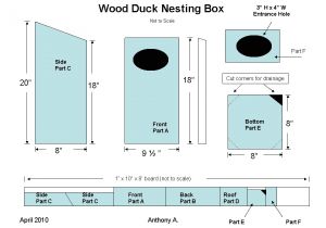 Wood Duck House Plans to Build Pdf Plans for Building A Wood Duck Nesting Box Plans Free