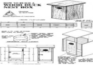 Wood Duck Houses Plans Wood Duck Nesting Boxes Wood Duck House Plans Free Houses Wood Duck Houses Plans Wood Duck Nesting Boxes Wood Duck House Plans Free Houses
