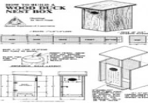 Wood Duck Houses Plans Wood Duck Nesting Boxes Wood Duck House Plans Free Houses