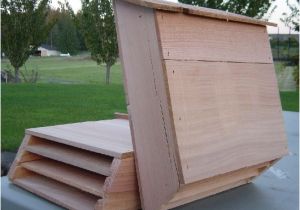 Wooden Bat House Plans Mesmerizing Wooden Bat House Plans Gallery Best