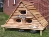 Wooden Cat House Plans Build Cat House Plans Outdoor Diy Pdf Easy Woodwork Wooden Cat House Plans Build Cat House Plans Outdoor Diy Pdf Easy Woodwork