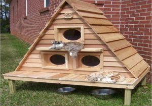 Wooden Cat House Plans Build Cat House Plans Outdoor Diy Pdf Easy Woodwork Wooden Cat House Plans Build Cat House Plans Outdoor Diy Pdf Easy Woodwork