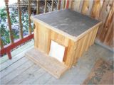 Wooden Cat House Plans Wooden Cat House Plans Escortsea Wooden Cat House Plans Wooden Cat House Plans Escortsea