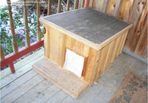 Wooden Cat House Plans Wooden Cat House Plans Escortsea Wooden Cat House Plans Wooden Cat House Plans Escortsea