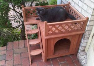 Wooden Cat House Plans Wooden Pallet Cat House Pallets Designs Wooden Cat House Plans Wooden Pallet Cat House Pallets Designs