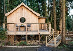 Woodland Cottage House Plans A Tiny Woodland Cottage Home Design Garden