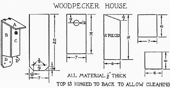 Woodpecker Bird House Plans Build A Woodpecker House