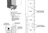 Woodpecker Bird House Plans Pdf Plans Pileated Woodpecker Bird House Plans Download
