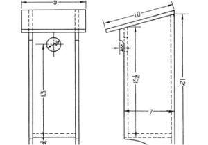 Woodpecker Bird House Plans Woodpecker House Plans 28 Images Free Plans for