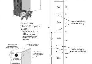 Woodpecker House Plans Wild Birds Unlimited is there A Pileated Woodpecker Nest Box