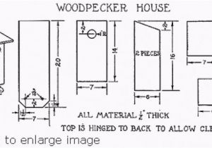 Woodpecker House Plans Woodpecker House Plans 28 Images Free Plans for