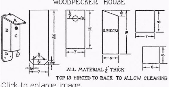 Woodpecker House Plans Woodpecker House Plans 28 Images Free Plans for