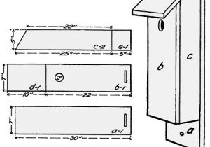 Woodpecker House Plans Woodpecker Nuthatches Chickadees and Titmice Bird House Plan