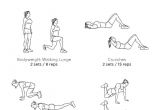 Work Out Plans for Beginners at Home at Home Full Body Workout for Beginners Women From
