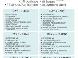 Work Out Plans for Beginners at Home whether It S Six Pack Abs Gain Muscle or Weight Loss