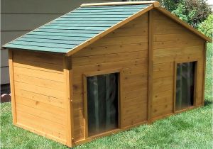 X Large Dog House Plans Shop X Large Cedar Insulated Duplex Dog House at Lowes Com
